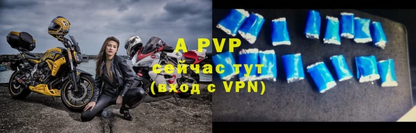 крисы Балахна
