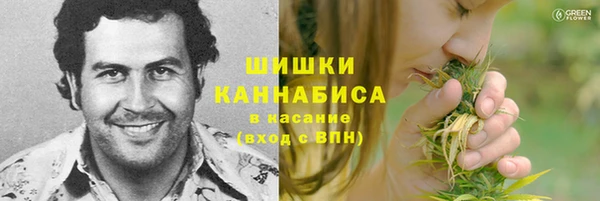 спайс Белокуриха