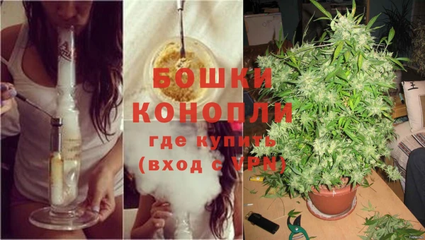 спайс Белокуриха