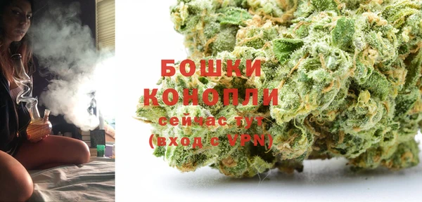 спайс Белокуриха