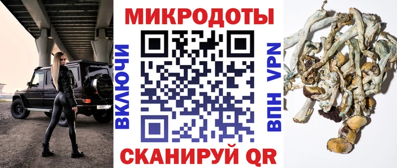 Псилоцибиновые грибы мухоморы  Красный Холм 